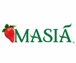 Masia