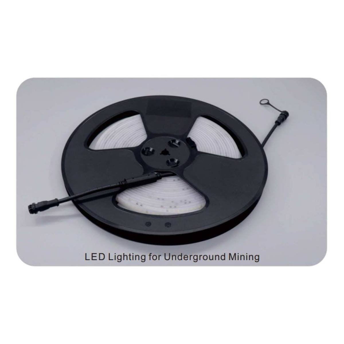 LED STRIP DC24V MONOCOLOR